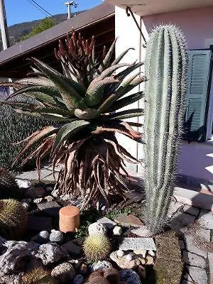 홈스테이 La Camera Sul Golfo